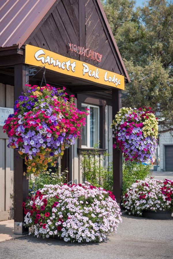 Gannett Peak Lodge ไพน์เดล ภายนอก รูปภาพ